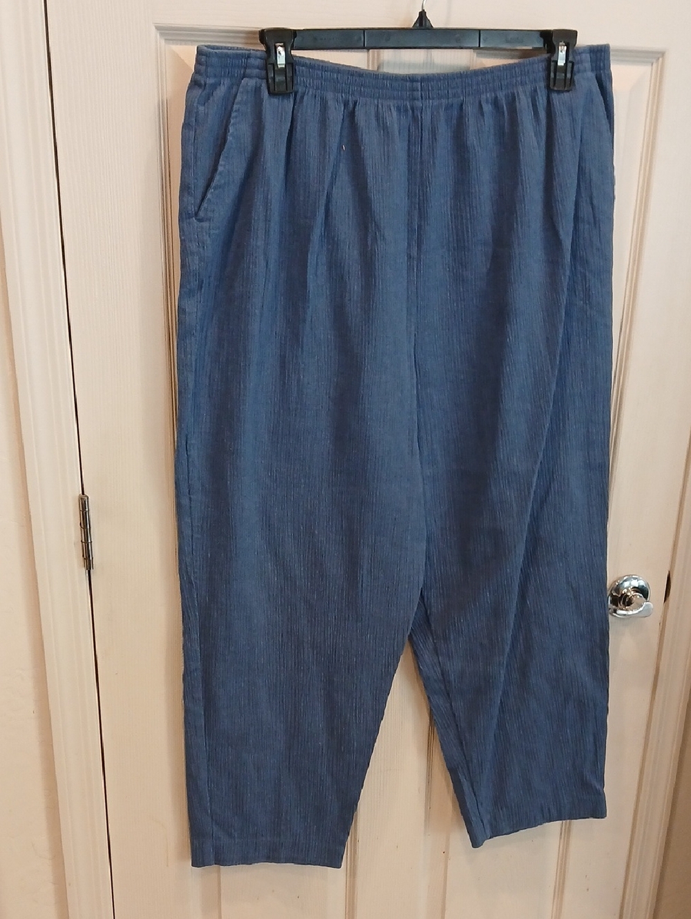 Blair Women's Pants in Blue